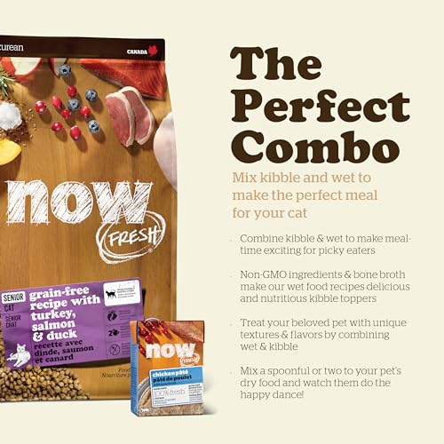 Senior Dry Cat Food (3 Pound (Pack of 1))