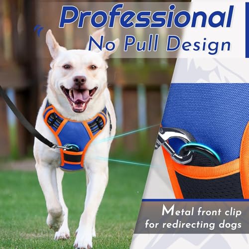 Dog Harness for Medium Sized Dogs (Medium / Blue & Orange)