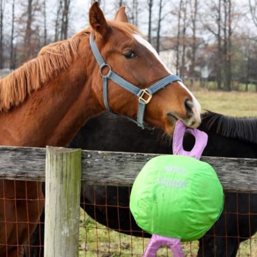 14" Jolly Tug Horse Toy (Green)