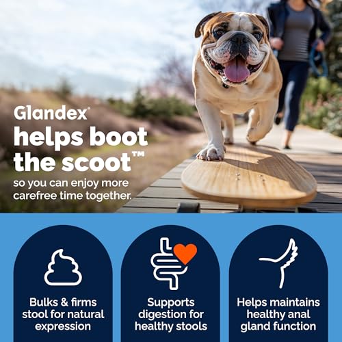 Glandex for Dogs Anal Gland Powder (5.5 oz)