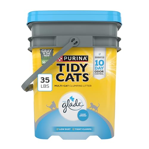 Clumping Cat Litter (35 Pound (Pack of 1) / Glade Clear Springs)