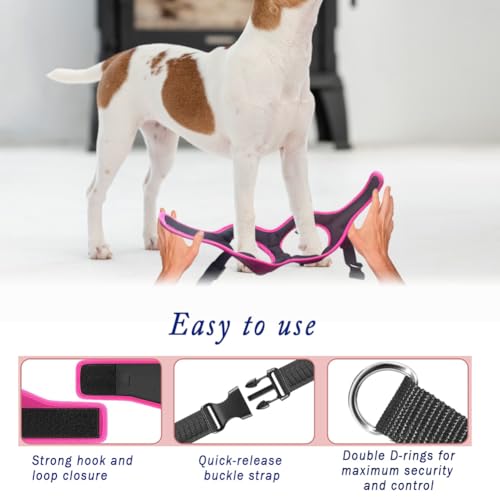 Comfort Fit No Pull Dog Harness for Small Medium & Large Dogs (L+ (Chest 21"-23") / Pink)