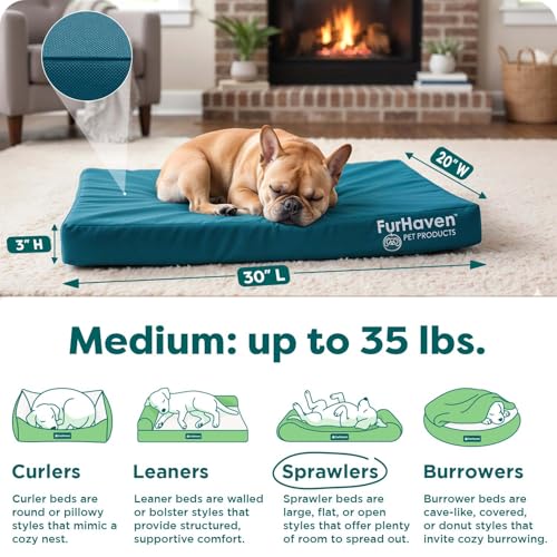 Water Resistant Orthopedic Dog Bed for Medium Dogs (Medium / Deep Lagoon)