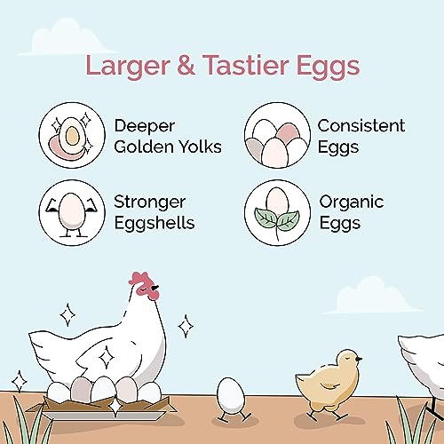 Chicken Grit Layer & Grower (4 Pounds (Pack of 1))