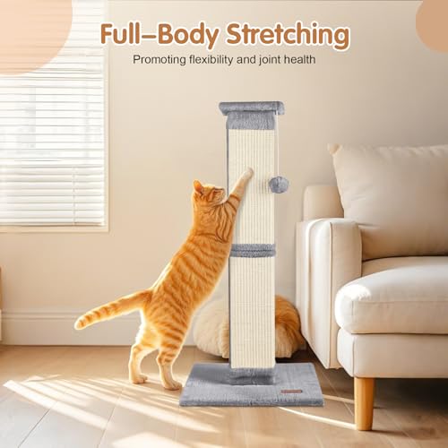 Cat Scratching Post 33 inch for Indoor Cats (Grey)