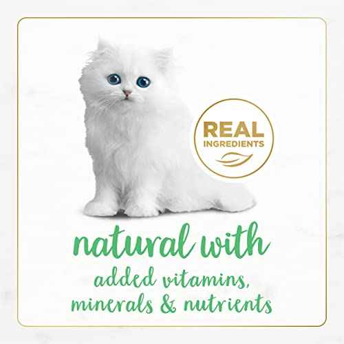 Purina Fancy Feast Grain Free Pate Wet Kitten Food Gourmet Naturals White Meat Chicken Recipe (3 Ounce (Pack of 12))