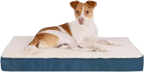 Orthopedic Dog Bed with Memory Foam (Blue / 35" x 22" x 4")