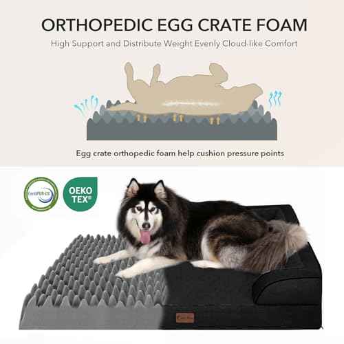 Orthopedic Washable Dog Bed for Extra Large Dogs (Black / 45.0"L x 35.0"W x 8.5"Th)
