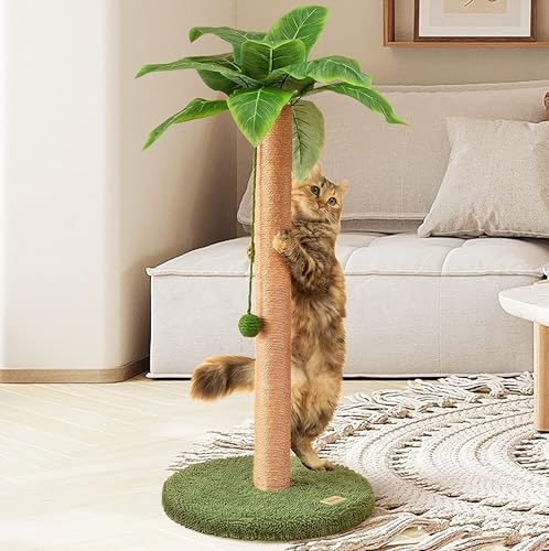 Cat Scratching Post 33 Inch Tall Cat Scratcher for Indoor Cats Adults (33 in Green Post)