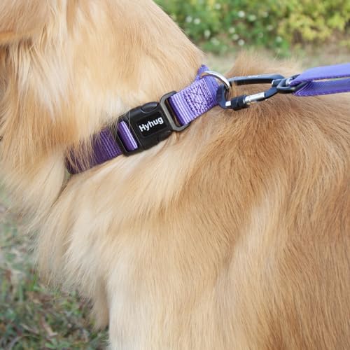 Purple Dog Collar for Large Dogs (Large / Ultra Violet)