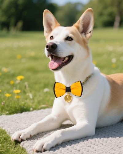 5 Pack Mixed Color Dog Bowties for Small Dogs Slide on Collar (S/M)