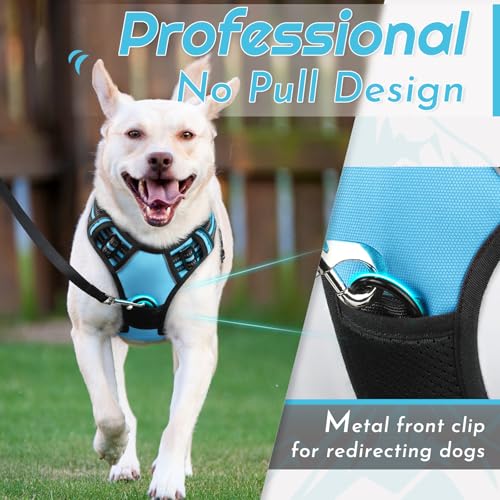 Dog Harness for Large Dogs (Large / Sky Blue)