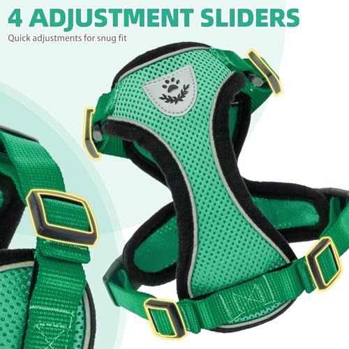 Cat Harness and Leash Set Escape Proof Reflective Cat Walking Harness Adjustable Soft Breathable Mesh Vest for Small Pets (S (NECK 9.5"-11", CHEST 13"-16") / Dark Green)