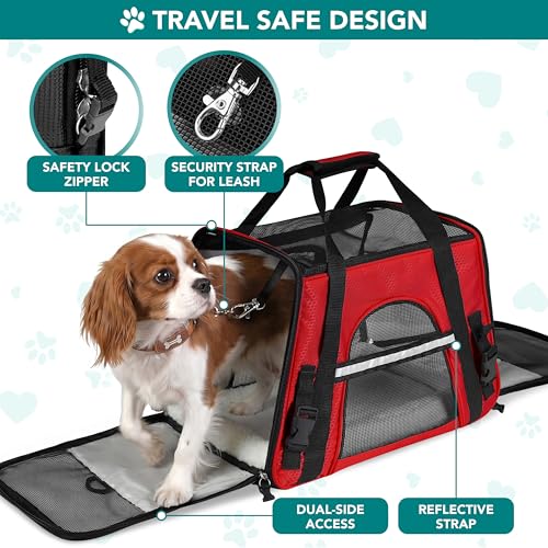 Airline Approved Pet Carrier for Cats & Small Dogs (Red / 19.5"L x 10.2"W x 12.0"H)