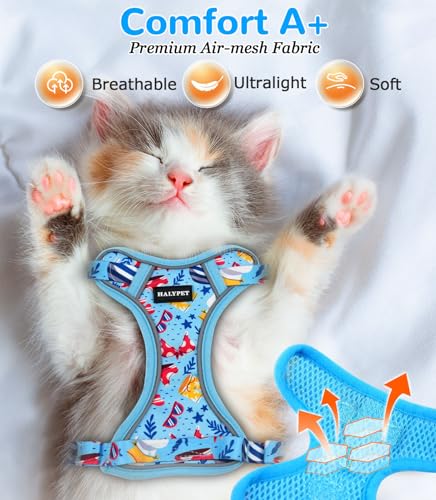 Cat Harness and Leash Set (H604 Pro Azure Blue / Medium (13-18lb))