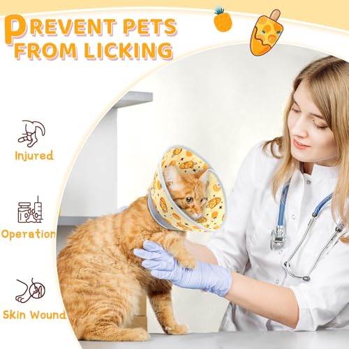 Cat Cone Collar Soft to Stop Licking (Orange / L)