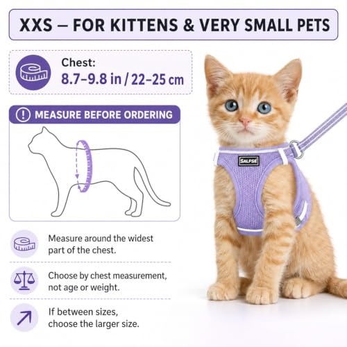 Cat Harness and Leash for Walking Escape Proof (XXS / Purple)