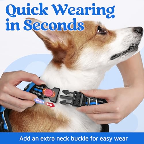 Dog Harness Small Sized (Blue / Small)