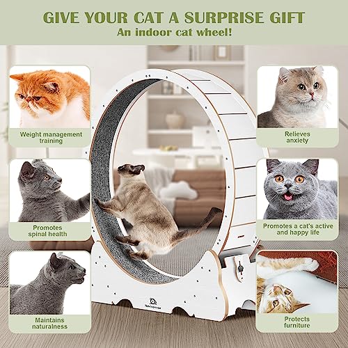 Cat Wheel 53" XXL Large Exercise Running Wheels with Detachable Carpet for Indoor Cats (White / XXL)