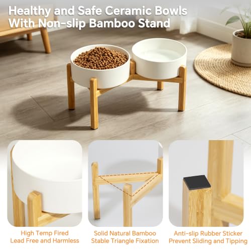 Elevated Ceramic Dog Bowl Set (White / Large)
