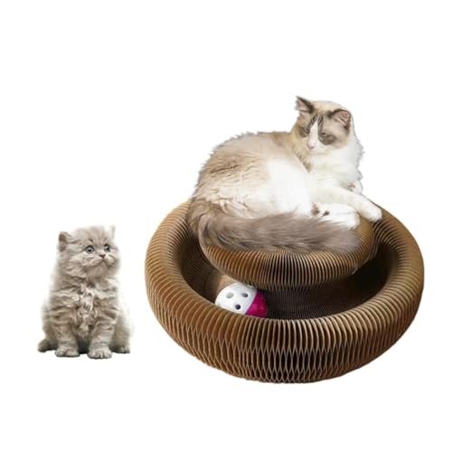 Kitty kurlz Magic Organ Cat Scratcher Board Cat Ball Adventure The Ultimate Interactive Mental Physical Exercise for Indoor Cats Toy
