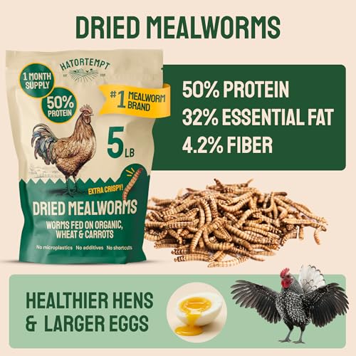 5lb Dried Mealworms for Chickens & Wild Birds (5 Pound (Pack of 1))
