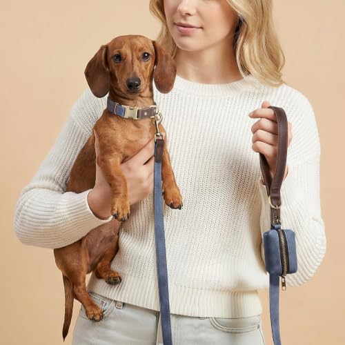 PU Leather Dog Collar for Small Dogs Puppy (Blue / S: Neck 11-15", Width ⅝")