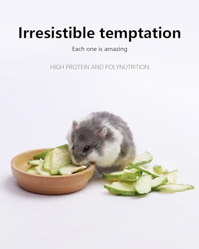 Hamster Snack & Treats Toy