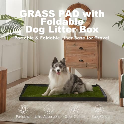 Dog Grass Pad with Dog Litter Box (Large for Dog＜ 28" Length)