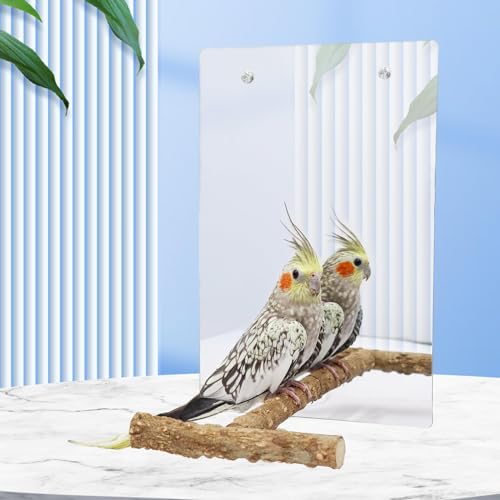 Bird Mirror Toy with Perch Stand (7.9 × 6.3 Inch)