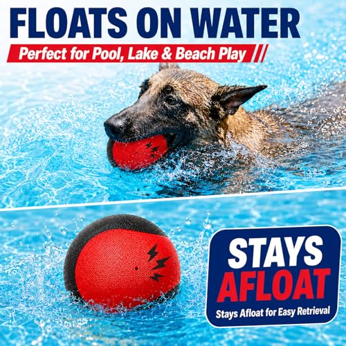 Squeaky Balls for Dogs (RedBlack)