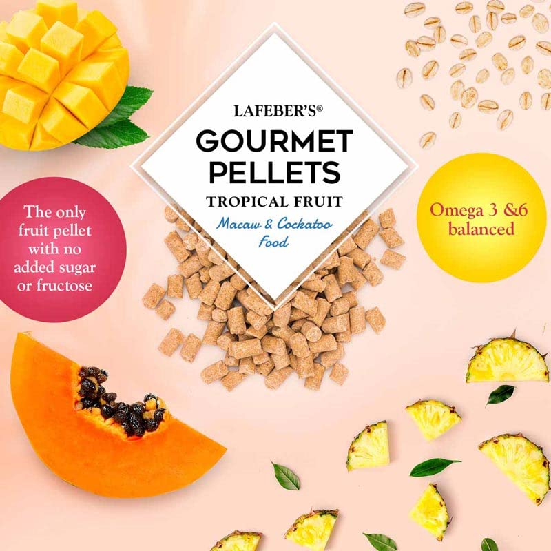 Tropical Fruit Gourmet Pellets for Macaws (1.25 Pound (Pack of 2))