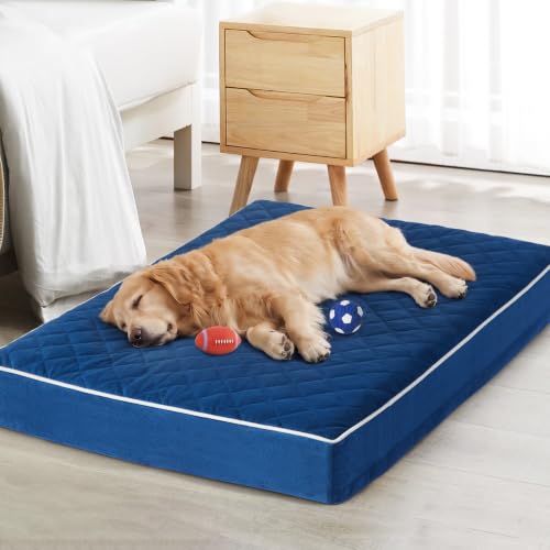 Orthopedic Giant Human Dog Beds for Adult & Dog Cozy Sleep (Blue / 61"L x 43"W x 4"Th)