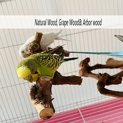 5 PCS Natural Wooden Parrot Stand Bird Perch Stand Grape Stick Hanging Multi Branch Perch for Parrots