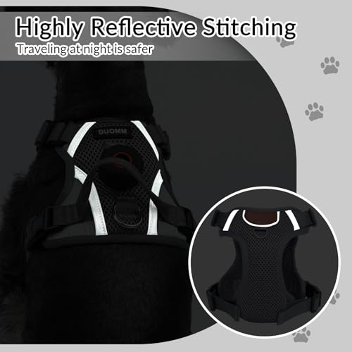 Harness and Leash Set with AirTag Holder for Large Cat Small Dog (Grey (Holder for Airtag) / XL)