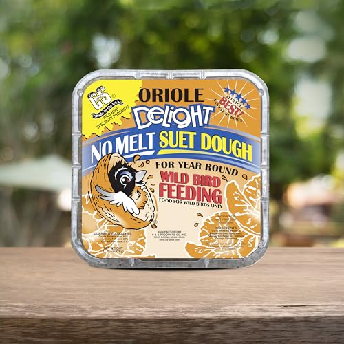 Oriole Delight No Melt Suet Dough (1.47 Ounce (Pack of 8) / Oriole, 8 Pack)