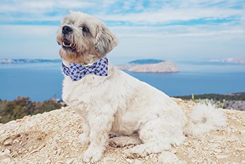 Dog Collar with Bowtie (Anchor / Large (Pack of 1))