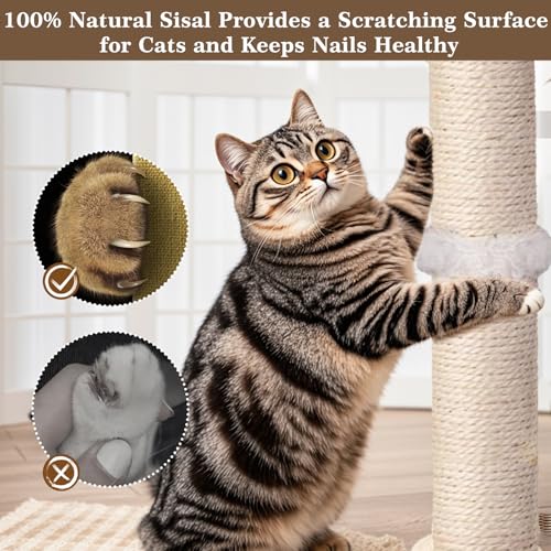 Cat Scratching Post (25 Inches Tall)