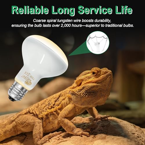 Pack of 2 Reptile Basking Light Bulbs (Uva Bulbs (2pcs) / 75W)