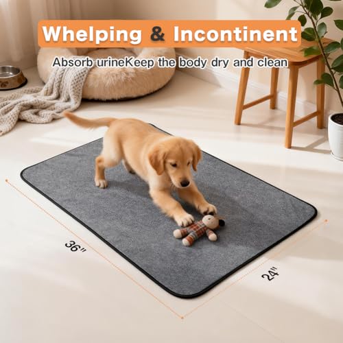 Washable Pee Pads for Dogs (36"x24" -2 Pack / Gray)