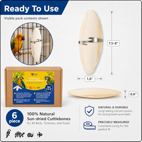 7.5 8" Cuttlebone for Birds (6 Count (Pack of 1))