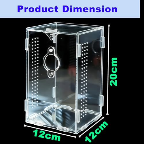 Acrylic Jumping Spider Enclosure (A1)