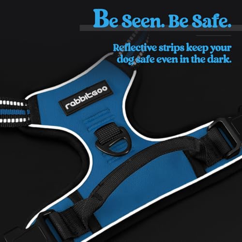 Dog Harness No Pull for Large Dogs with 2 Leash Clips (X-Large / Blue)
