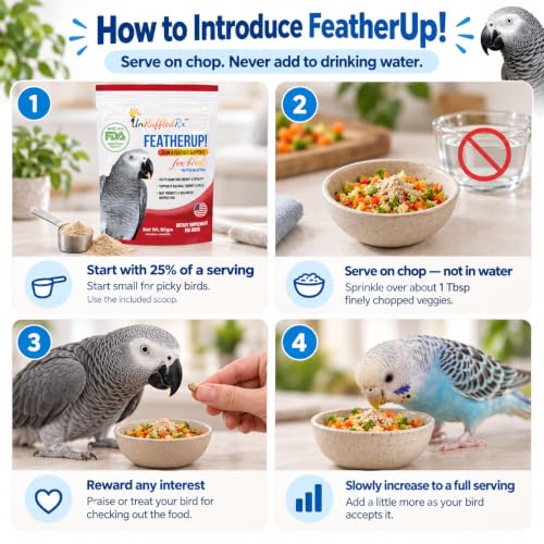 FeatherUp! Bird Molting Support & Feather Growth Supplement