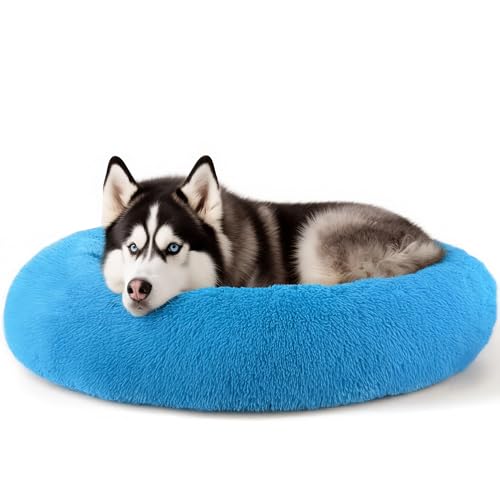 Extra Large Dog Beds (Light Blue / 36.0"L x 36.0"W x 8.0"Th)