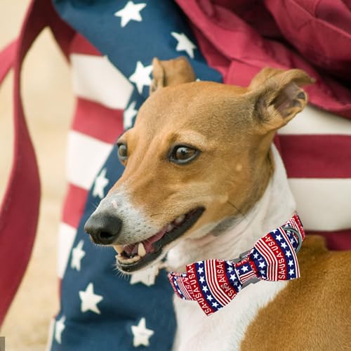 Independence Dog Collar (USA / X-Small (Pack of 1))