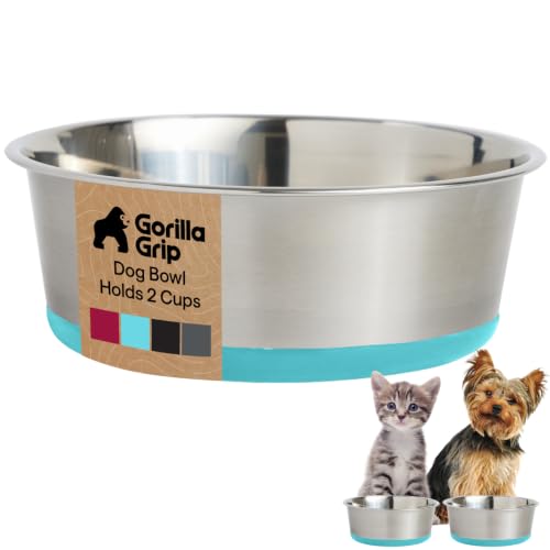 Dog Bowl Food Grade Stainless Steel Water Bowls (Turquoise / 2 Cup - Single Bowl)