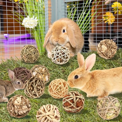 Bunny Chew Grass Balls (16 Pack)