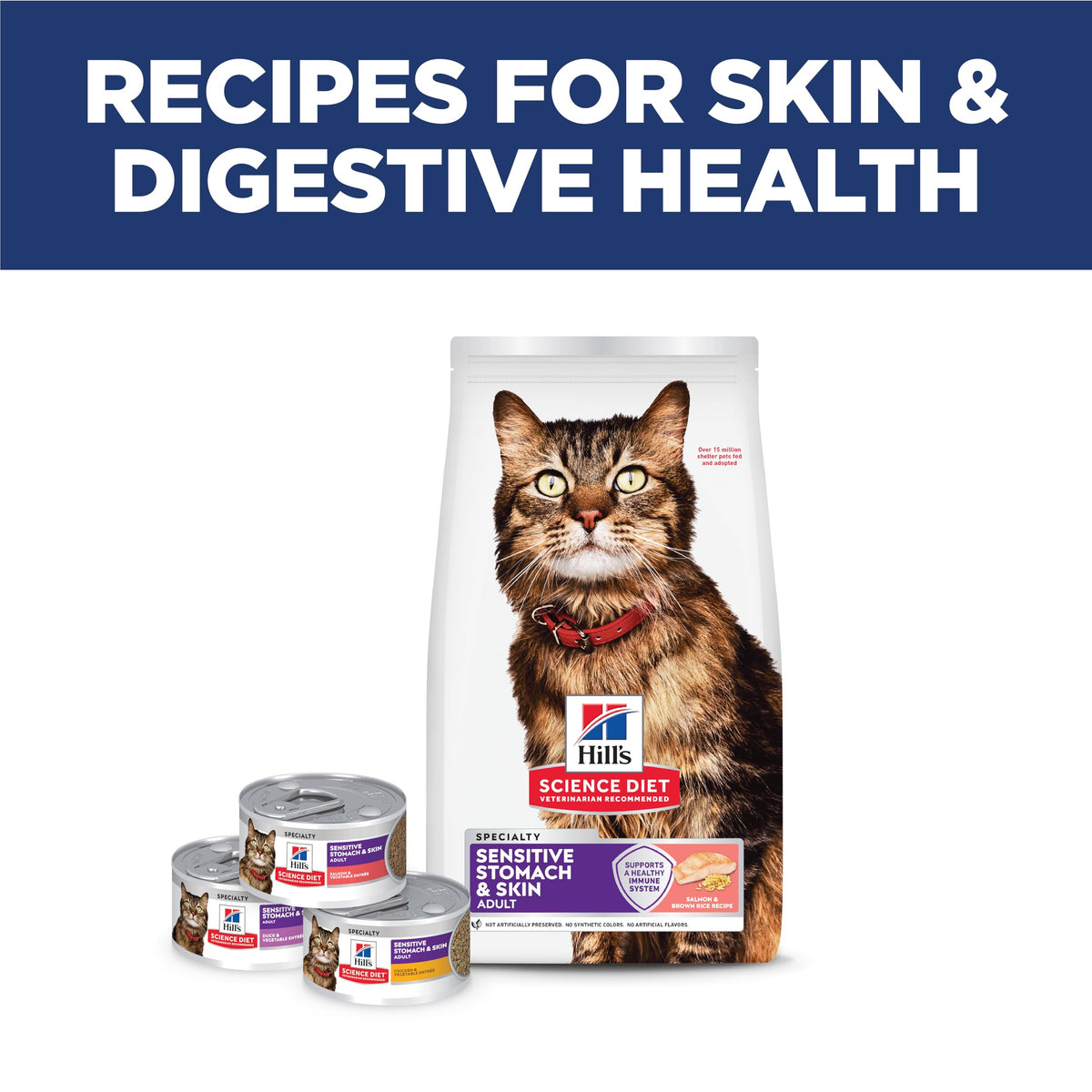 Sensitive Stomach & Skin Dry Cat Food (6 Pound (Pack of 1))
