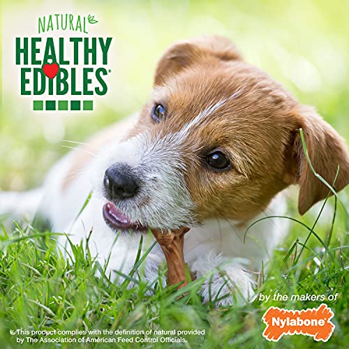 Healthy Edibles Wild Dog Treats (16 Count (Pack of 1))
